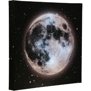 Clever Creations 16 x 12 Inch Christmas LED Wall Canvas Art Home Decor, Light Up Battery Operated Snowy Winter Scene, Winter Path in Kuwait