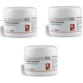 Dr. Reckeweg Dr.Reckeweg Germany R30 Universal Ointment. Pack of 3
