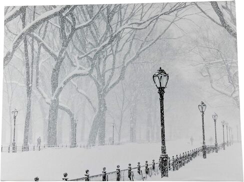 Clever Creations 16 x 12 Inch Christmas LED Wall Canvas Art Home Decor, Light Up Battery Operated Snowy Winter Scene, Winter Path in Saudi Arabia