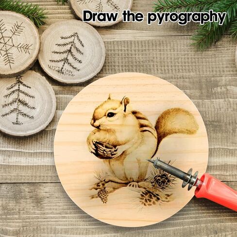 6 Pack 6 Inch Round Wooden Plaque, 3/4 Inch Thick Unfinished Wooden Circle Plaque, Natural Pine Wood Base for Craft Projects, Sign, Painting, Woodcarving, Engraving in Kuwait