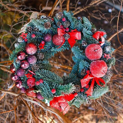 2 PCS Wire Wreath Frames,Metal Wreath Frame,Door Window Frame with Green Wreath,Wreath Forms for Crafts, Wire Wreath Making Rings for Halloween Wedding Garden Home Christmas Decoration(12 Inches) in Saudi Arabia