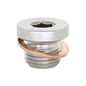 (1pc) BelMetric M22X1.5 Stainlesss Steel A2 Metric Allen Head Threaded Screw Plug DIN 908 for Machinery and Fittings, Sealing Washers Included DP22X1.5AHSS