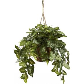 Nearly Natural Nephthytis Hanging Basket