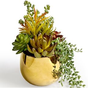 8" Large Artificial Succulents in Gold Pots, Faux Succulents Cactus Plants, Gold Planter Modern Decor for Home Office, Lifelike Succulent Planter for Desk Shelf Bathroom Decor