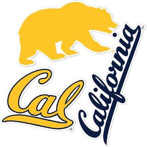 Desert Cactus University of California Berkeley Stickers Golden Bears Cal UC Vinyl Decals Laptop Water Bottle Car Scrapbook T5 (Type 5-1)