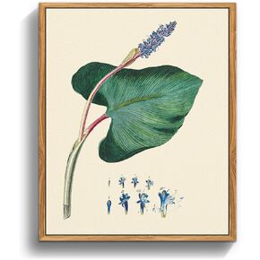 crmotu Vintage Botanical Prints Framed Wall Art, Tropical Plant Leaf Canvas Prints Art Decor Room, Farmhouse Still Life Painting Wall Decor for Bedroom Bathroom Office, 8x10inch