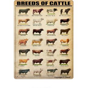 Breeds Of Cattle Metal Tin Sign Wall Plaque Poster For Restaurant Market Farm Ranch Bar Pub Beer Club Wall Home Decor 8x12 Inch