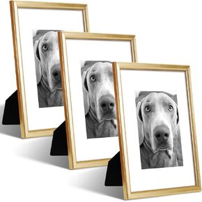 8x10 Picture Frame - Set of 3, Matte Gold 8 x 10 Photo Frame with High-Definition Glass, Modern Picture Frames with Mat for 6x8 for Tabletop or Collage Wall
