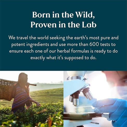 حمض البانتوثنيك لأشعة الشمس من الطبيعة، 100 كبسولة | فيتامين ب5 يدعم الجهاز العصبي، ويساعد على وظيفة الغدة الكظرية، وهو ضروري لصنع هرمونات معينة in Kuwait