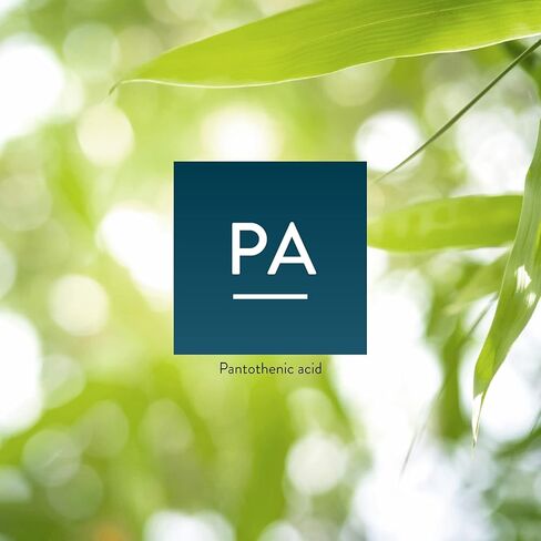 حمض البانتوثنيك لأشعة الشمس من الطبيعة، 100 كبسولة | فيتامين ب5 يدعم الجهاز العصبي، ويساعد على وظيفة الغدة الكظرية، وهو ضروري لصنع هرمونات معينة in Kuwait