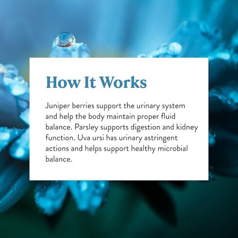 حمض البانتوثنيك لأشعة الشمس من الطبيعة، 100 كبسولة | فيتامين ب5 يدعم الجهاز العصبي، ويساعد على وظيفة الغدة الكظرية، وهو ضروري لصنع هرمونات معينة in Kuwait