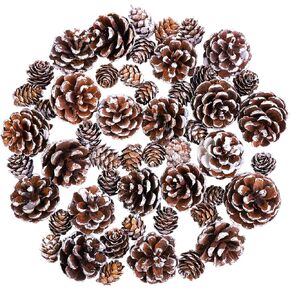 Cooraby Christmas Pine Cones Natural Snow 20 Pieces 4-6 cm Pine Cones and 30 Pieces 2-3 cm Micro-Mini Pine Cones for Thanksgiving Decoration, Fall and Christmas Crafts, 50 Pieces Total