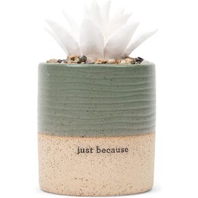 Demdaco Just Because Sage Green Speckled Golden Succulent 3 x 5 Stoneware Decorative Tabletop Oil Diffuser
