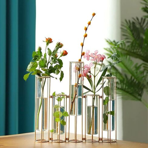 Test Tube Vase for Flowers Set of 5, Glass Vase with Metal Stand Racks Hydroponic Test TubeVase, Glass Vase with Metal Stand Racks Hydroponic Test Tube Vase for Home Wedding Decor, Balcony in Saudi Arabia