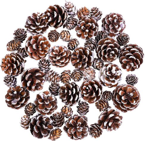 Cooraby Christmas Pine Cones Natural Snow 20 Pieces 4-6 cm Pine Cones and 30 Pieces 2-3 cm Micro-Mini Pine Cones for Thanksgiving Decoration, Fall and Christmas Crafts, 50 Pieces Total in Saudi Arabia