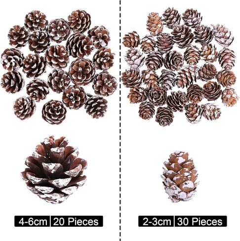 Cooraby Christmas Pine Cones Natural Snow 20 Pieces 4-6 cm Pine Cones and 30 Pieces 2-3 cm Micro-Mini Pine Cones for Thanksgiving Decoration, Fall and Christmas Crafts, 50 Pieces Total in Saudi Arabia