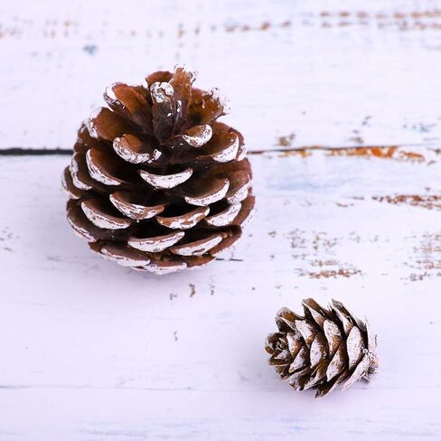 Cooraby Christmas Pine Cones Natural Snow 20 Pieces 4-6 cm Pine Cones and 30 Pieces 2-3 cm Micro-Mini Pine Cones for Thanksgiving Decoration, Fall and Christmas Crafts, 50 Pieces Total in Saudi Arabia