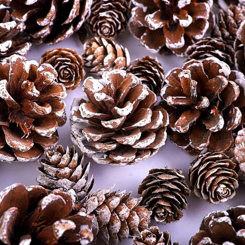 Cooraby Christmas Pine Cones Natural Snow 20 Pieces 4-6 cm Pine Cones and 30 Pieces 2-3 cm Micro-Mini Pine Cones for Thanksgiving Decoration, Fall and Christmas Crafts, 50 Pieces Total in Saudi Arabia