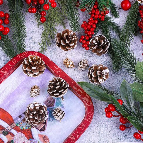 Cooraby Christmas Pine Cones Natural Snow 20 Pieces 4-6 cm Pine Cones and 30 Pieces 2-3 cm Micro-Mini Pine Cones for Thanksgiving Decoration, Fall and Christmas Crafts, 50 Pieces Total in Saudi Arabia