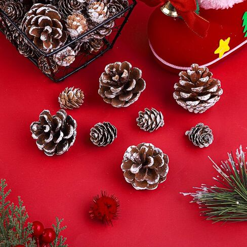Cooraby Christmas Pine Cones Natural Snow 20 Pieces 4-6 cm Pine Cones and 30 Pieces 2-3 cm Micro-Mini Pine Cones for Thanksgiving Decoration, Fall and Christmas Crafts, 50 Pieces Total in Saudi Arabia