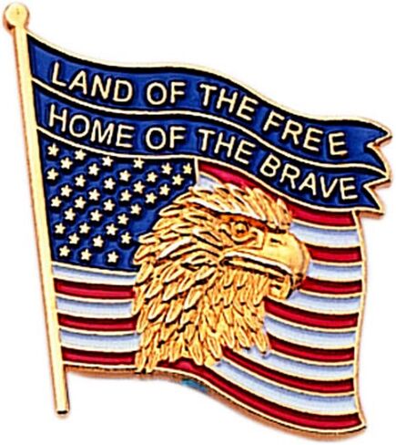 USA Flag American Eagle Lapel Pin, Bulk Pack of 8, Poly Bagged, 7/8 Inch in Kuwait