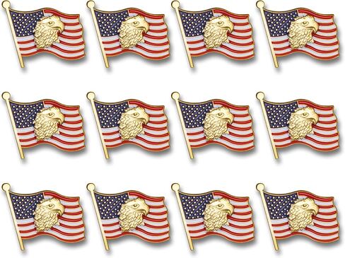 USA Flag American Eagle Lapel Pin, Bulk Pack of 8, Poly Bagged, 7/8 Inch in Kuwait