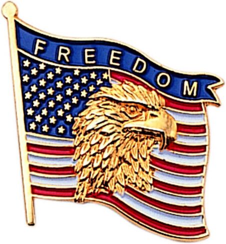 USA Flag American Eagle Lapel Pin, Bulk Pack of 8, Poly Bagged, 7/8 Inch in Kuwait
