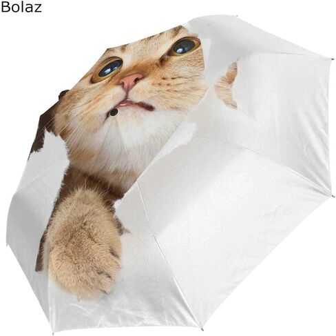 Black Compact Travel Umbrella Maine Coon Cat Auto Open Close Umbrella Windproof Anti-UV in Saudi Arabia