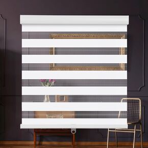 SMONTER Cordless Zebra Blinds for Windows Zebra Roller Shades with Metal Valance Free Stop Dual Layer Sheer Blinds Day Night Privacy Light Filtering, W43 x H72, White
