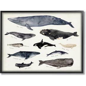 Stupell Industries Vintage Nautical Chart of Whales Ocean Life,Grey Framed,16 x 20
