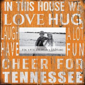 Fan Creations House Frame University of Tennessee 10x10, Multicolored