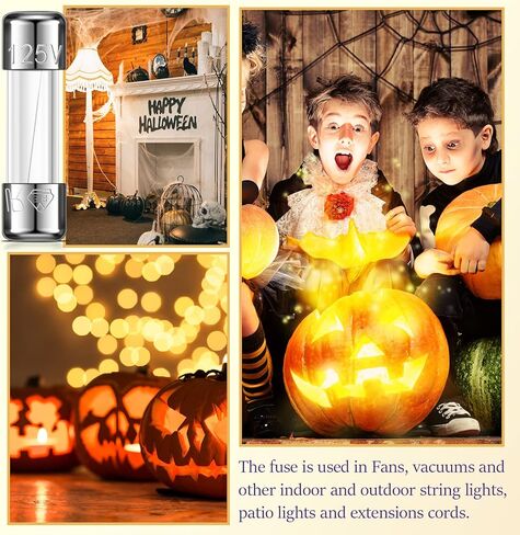 125 فولت 5 أمبير فيوز زجاج سريع النفخ 5a بحد أقصى 125 فولت فيوز سريع فيوز C9، C7، G40 عيد الميلاد ضوء فيوز استبدال لمبة الصمامات لإضاءة LED في الهواء الطلق، 0.2 × 0.78 بوصة / 5 × 20 مم (100) in Kuwait