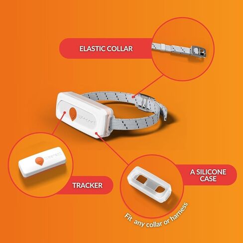 Weenect Cat XS - NEW GPS Tracker for Cats | Real-time Mini GPS Tracker for Cats | Smallest model on The market | Collar included | Including Free 3 Months Subscription in Saudi Arabia