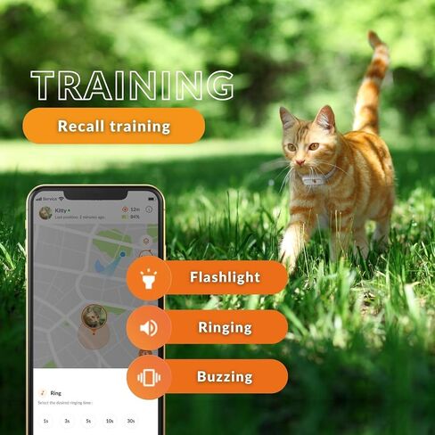 Weenect Cat XS - NEW GPS Tracker for Cats | Real-time Mini GPS Tracker for Cats | Smallest model on The market | Collar included | Including Free 3 Months Subscription in Saudi Arabia