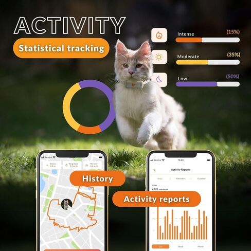 Weenect Cat XS - NEW GPS Tracker for Cats | Real-time Mini GPS Tracker for Cats | Smallest model on The market | Collar included | Including Free 3 Months Subscription in Saudi Arabia