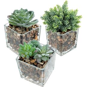 Fake Plants,Artificial Plants Indoor,Small Decorative Mixed Fake Succulents Set,Home Decor Greenery in Glass Pots, Set of 3