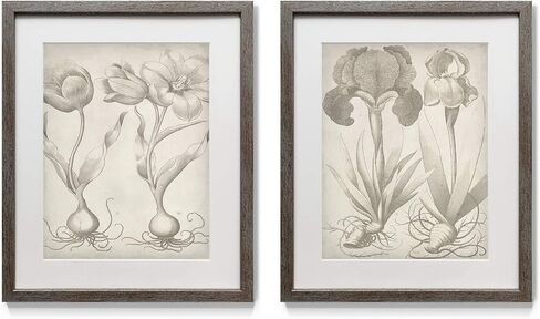 Floral Wall Art, Rustic Silver Distressed Frame 2-Piece Wall Décor Set: Plumeria, Marigold, Wild Flowers, Dogwood, Dandelion, Coral, Home & Office, Ready to Hang 16x20 - Flowers Vase in Kuwait