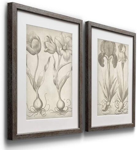 Floral Wall Art, Rustic Silver Distressed Frame 2-Piece Wall Décor Set: Plumeria, Marigold, Wild Flowers, Dogwood, Dandelion, Coral, Home & Office, Ready to Hang 16x20 - Flowers Vase in Kuwait