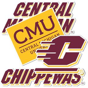 Desert Cactus Central Michigan University CMU Chippewas Stickers Vinyl Decals Laptop Water Bottle Car Scrapbook 13.5x10.94 Sheet T2 (Type 2)