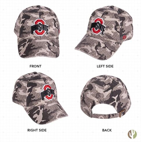 Desert Cactus The Ohio State University Baseball Hat OSU Buckeyes Brimmed Embroirderd Hats Cap Adjustable Cloth Strap Adult (Style U1) Gray in Saudi Arabia
