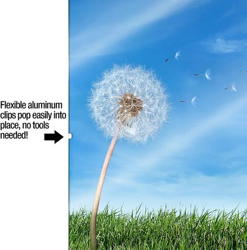 إطار معرض الصور Ambiance Gallery Clip Frame حديث منخفض المظهر وغير مرئي، يتضمن زجاجًا وظهرًا - 4x6 - [صندوق مكون من 12] in Saudi Arabia