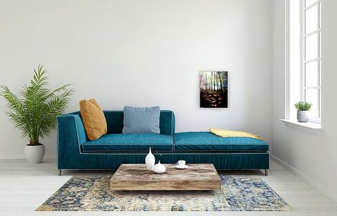 إطار معرض الصور Ambiance Gallery Clip Frame حديث منخفض المظهر وغير مرئي، يتضمن زجاجًا وظهرًا - 4x6 - [صندوق مكون من 12] in Saudi Arabia