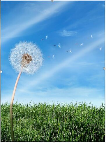 إطار معرض الصور Ambiance Gallery Clip Frame حديث منخفض المظهر وغير مرئي، يتضمن زجاجًا وظهرًا - 4x6 - [صندوق مكون من 12] in Saudi Arabia