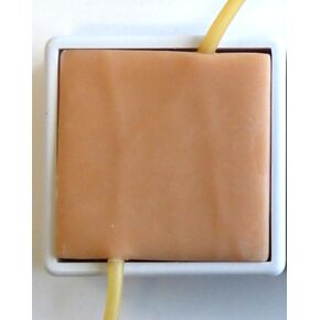 Intravenous Infusion Practicing Model, IV Injection Practice Skin Pad, Kit for Nursing & Medical Students (Arm)