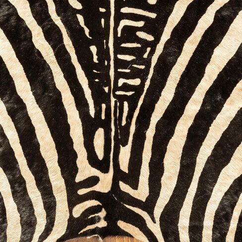 سجادة جلد البقر الأصلية من FOTA مع طباعة حمار وحشي - جلد البقر ومنطقة شعر ناعمة أو سجاد رمي - نمط طبيعي أفضل للتعليق على الحائط الريفي، ورحلات السفاري، والديكور الفريد (طباعة حمار وحشي، مقاس 5 × 6 بوصات كبيرة) in Kuwait