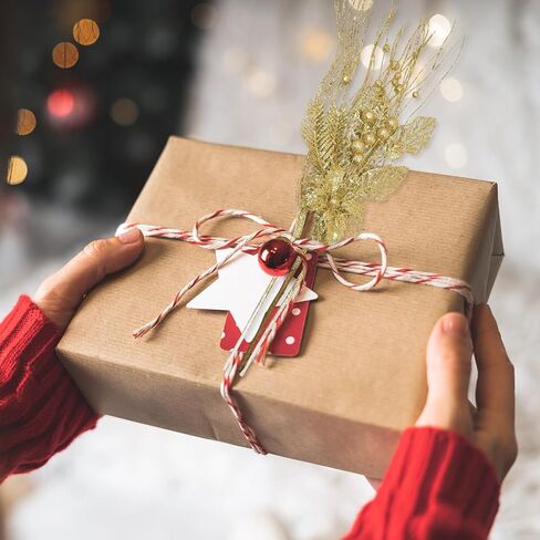 36 Pcs Christmas Tree Picks 17'' Sprays Artificial Flower Glitter Berry Stem Ornaments Decorative Branches Twigs Sprigs Sticks for Xms Tree Vase DIY Wreath Crafts Fireplace (Champagne) in Kuwait