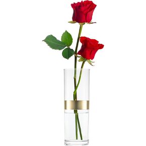 KLIFA- NAPA- Elegant Acrylic Round Bud Vase with Gold Foil, Shatterproof, High Transparency, Small Plastic Vase, Vase for Wedding Decorations, Parties, Centerpieces, Hight 7.64 inch, Clear, 1 pc
