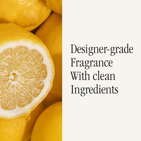 Pura & K. Hall Designs Home Scent Refill - عطر موزع هواء المنزل الذكي - ما يصل إلى 120 ساعة من العطر المميز لكل عبوة - أساسيات منزلية - عطر موزع نظيف - عبوتان، توابل العطلات in Kuwait
