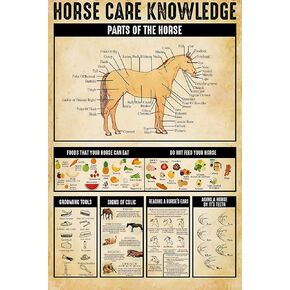 Horse Care Knowledge Metal Tin Signs Foods That Your Horse Can Eat Funny Posters Country House Farm Club School Education Can Kitchen Bathroom Home Art Wall Decoration Plaque Gift