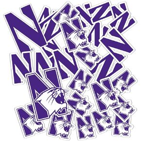 Desert Cactus Northwestern University Wildcats Stickers Vinyl Decals Laptop Water Bottle Car Scrapbook 11.46x8.94 Sheet T1 (Type 1-1)